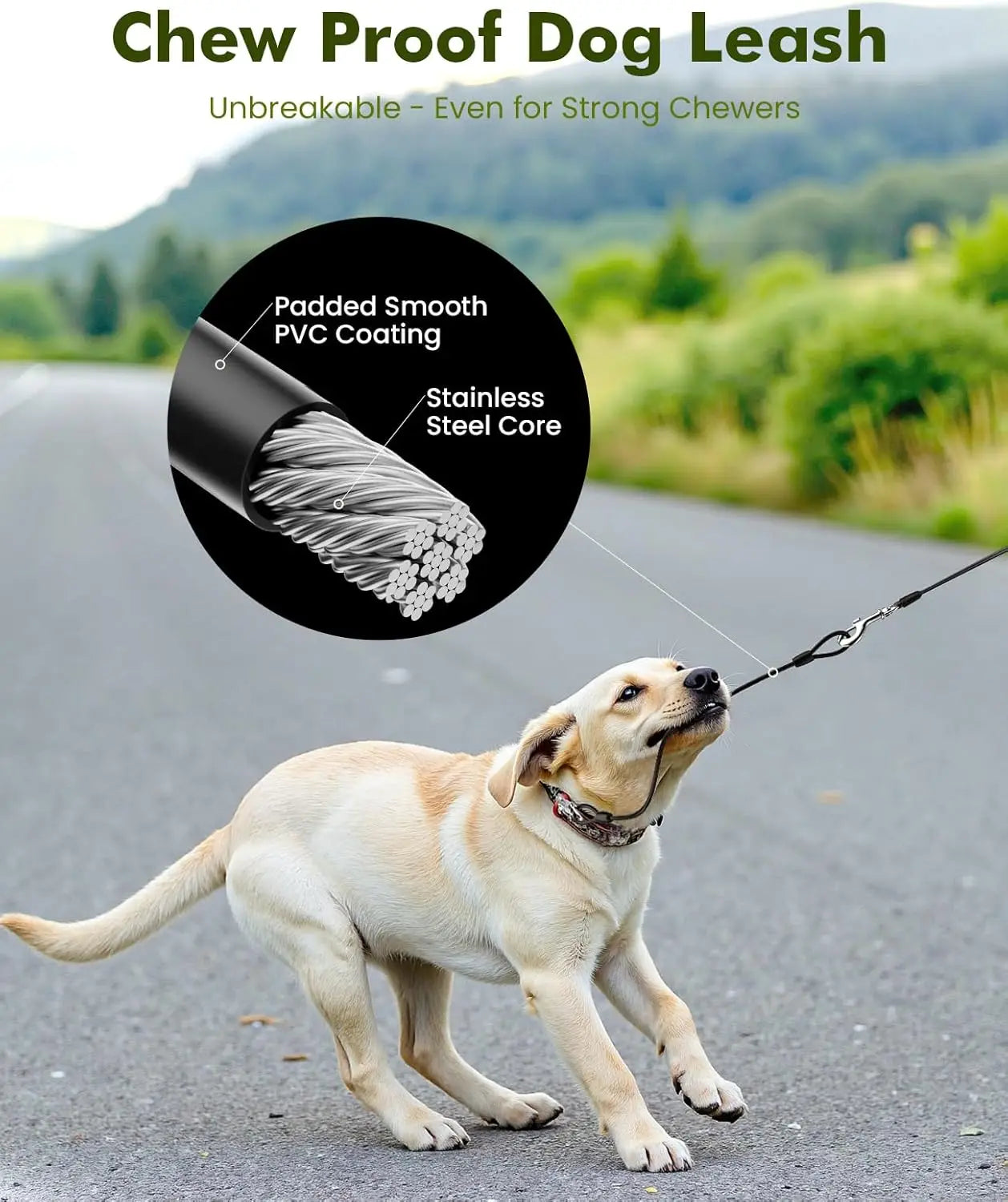 Chien en promenade avec la laisse Pecute Instant-Control