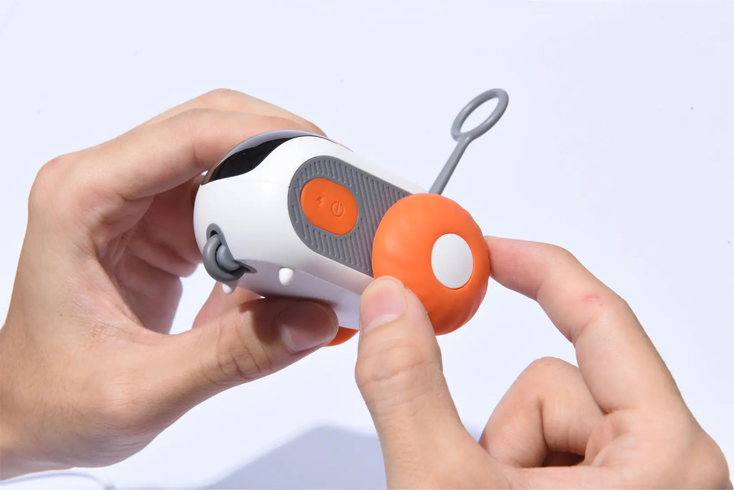 Chat jouant avec le jouet interactif Petgravity