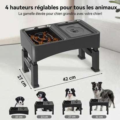 Chien mangeant dans la gamelle anti-glouton Blinkit