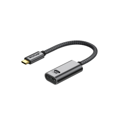 Convertisseur USB-C vers DisplayPort Femelle 20cm – Gris Sidéral
